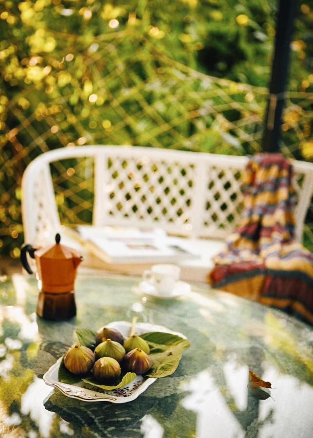 The Artist'S Farm Villa Dhiyellótika Dış mekan fotoğraf
