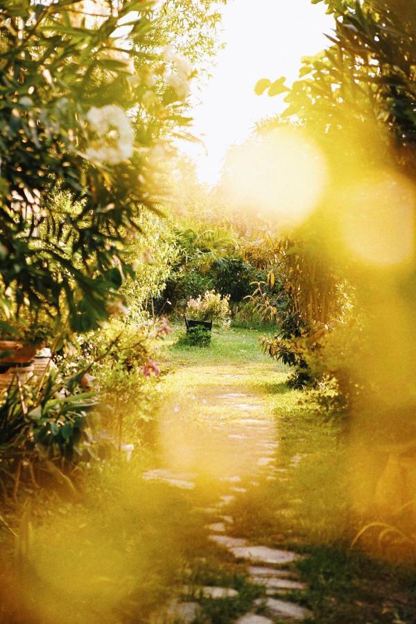 The Artist'S Farm Villa Dhiyellótika Dış mekan fotoğraf