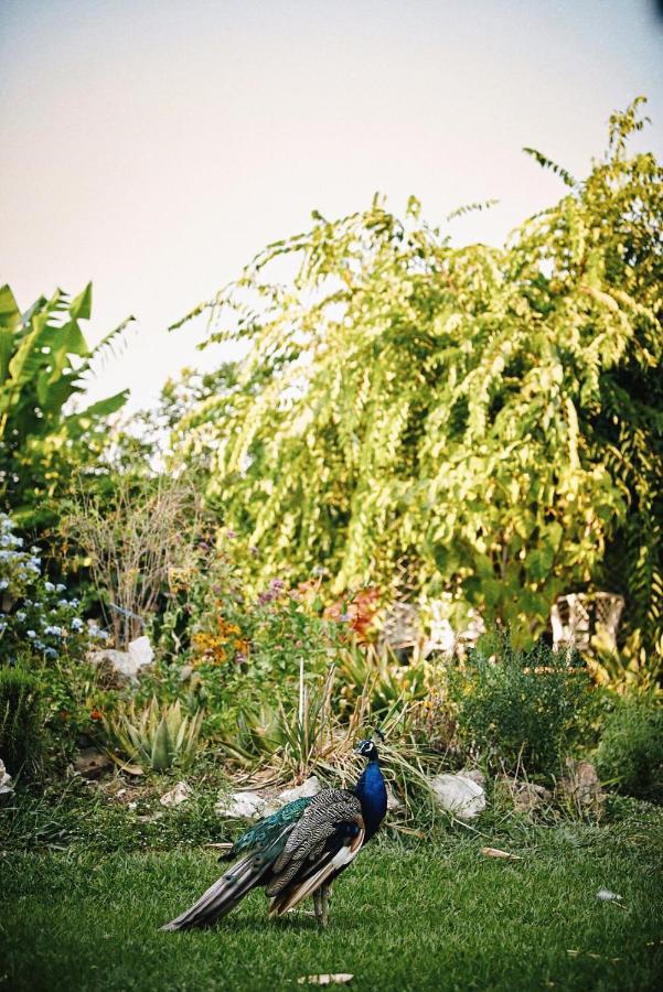 The Artist'S Farm Villa Dhiyellótika Dış mekan fotoğraf