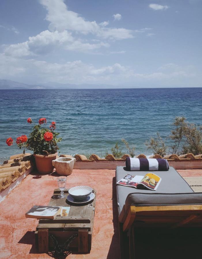 The Artist'S Farm Villa Dhiyellótika Dış mekan fotoğraf